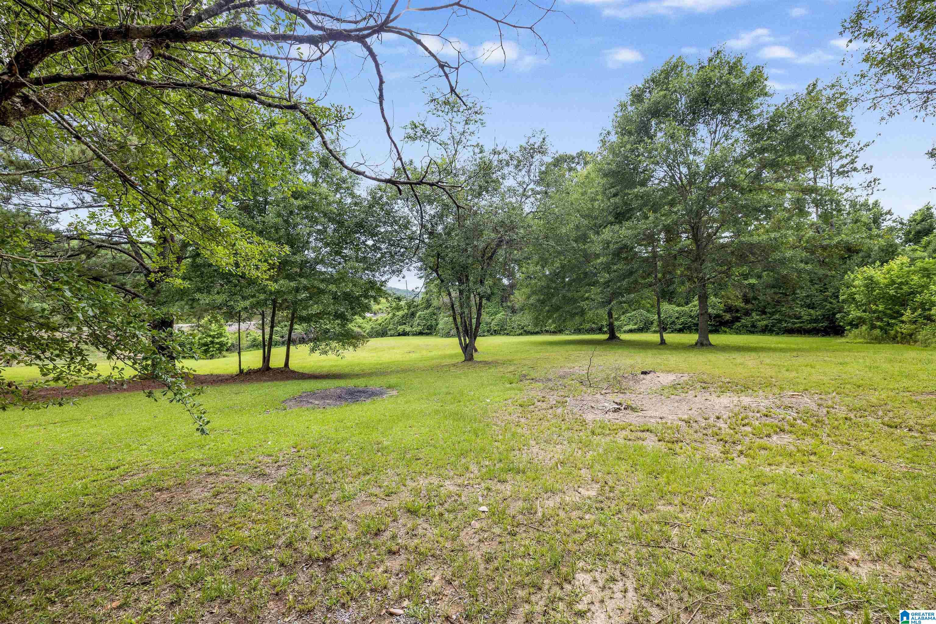 3155 Highway 174 Springville, AL 35146 - Photo 6 of 34
