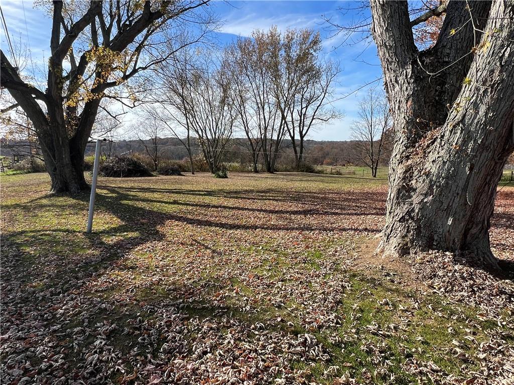 100 Long Road Harrisville, PA 16038 - Photo 5 of 12 a view of a yard with a tree