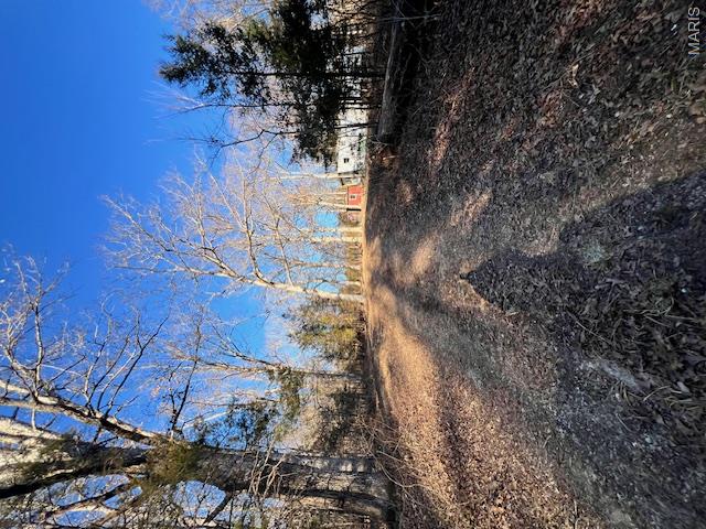10827 Scout Camp Road Bismarck, MO 63624 - Photo 10 of 23