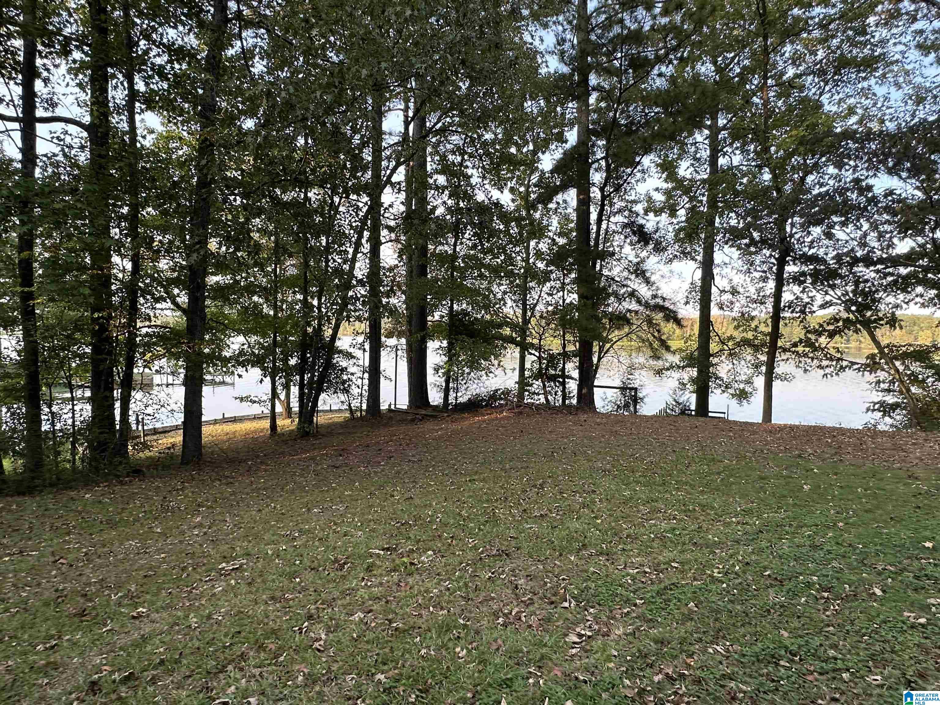 98 Lonesome Pne Road Riverside, AL 35135 - Photo 20 of 67