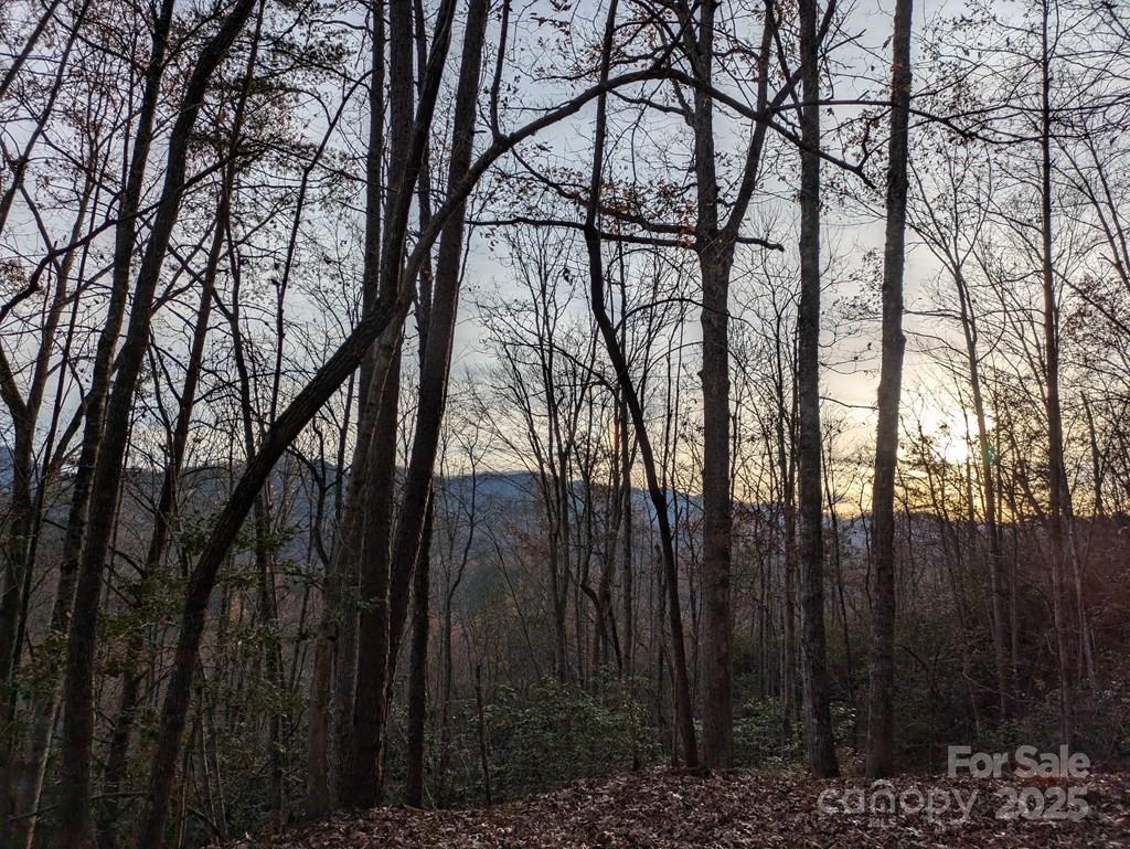 0 Sutton Branch Road Sylva, NC 28779 - Photo 11 of 20 a view of trees and covered with tall trees