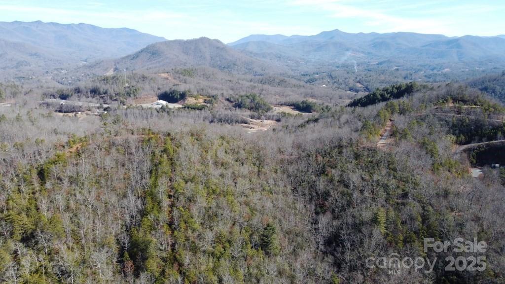 0 Sutton Branch Road Sylva, NC 28779 - Photo 17 of 20 an aerial view of mountain and tree