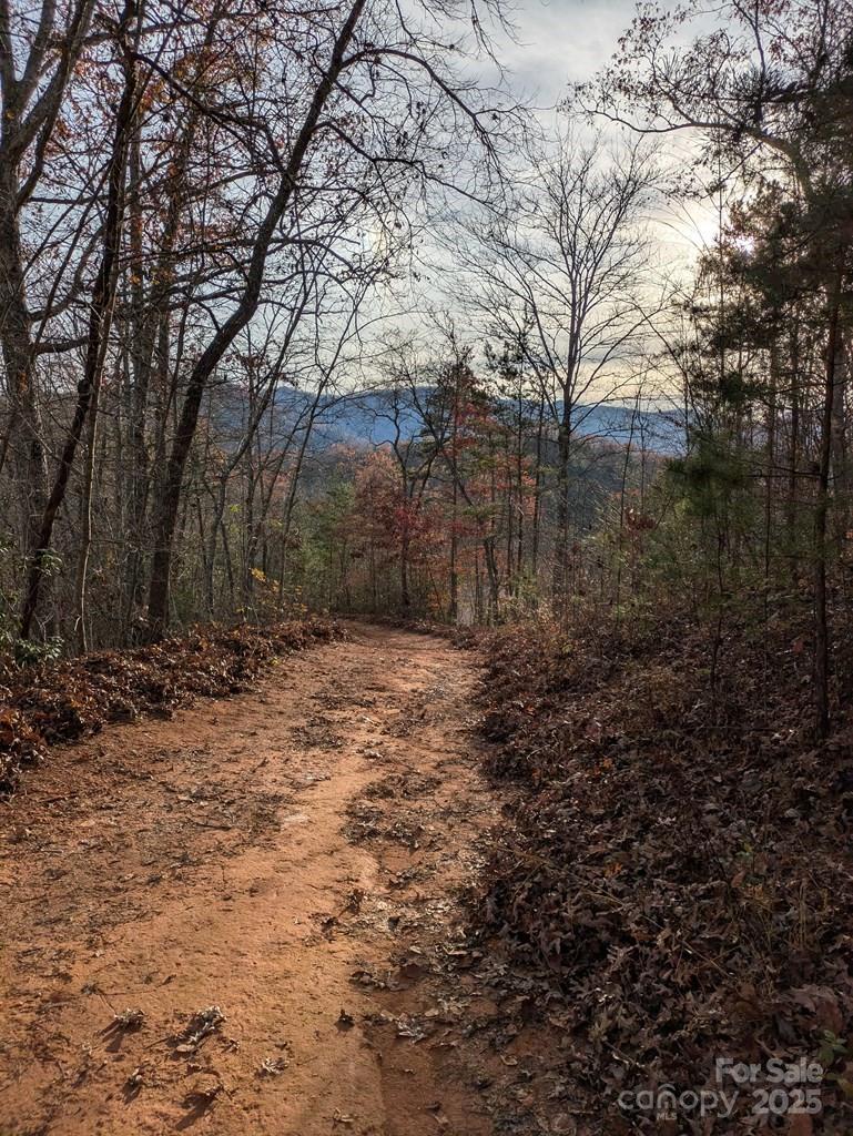 0 Sutton Branch Road Sylva, NC 28779 - Photo 5 of 20 a view of backyard with tree