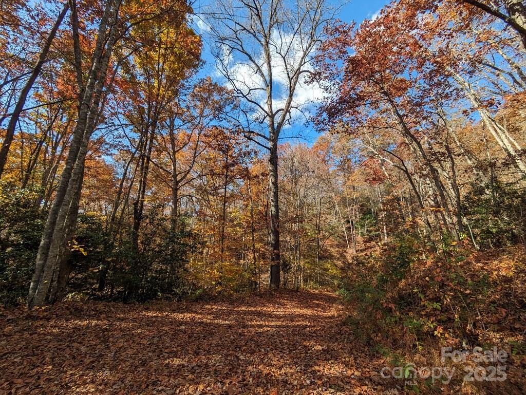 0 Sutton Branch Road Sylva, NC 28779 - Photo 10 of 20 a view of outdoor space and yard