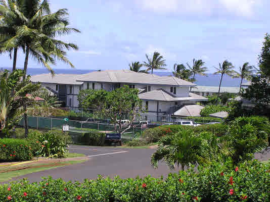 1534 Pe'e Road Koloa, HI 96756 - Photo 13 of 14 a front view of a house with a yard and potted plants