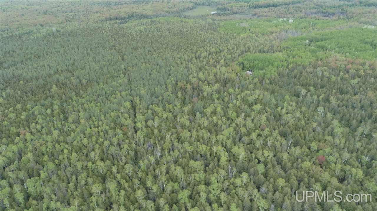 2 Rd Rock Mi 49880 Road Rock, MI 49880 - Photo 7 of 39