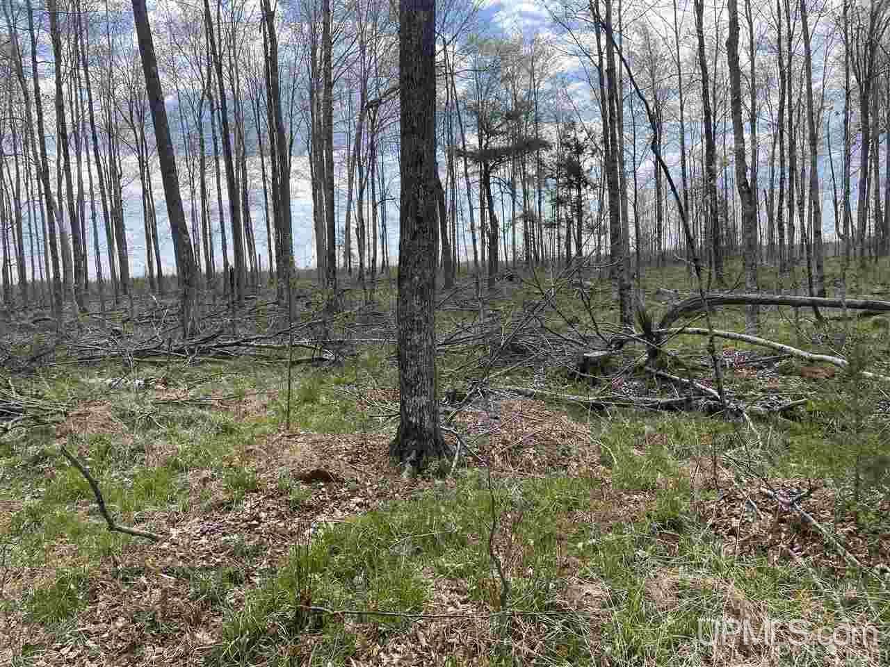 Tbd Tbd Truax Road, Unit 1 Cornell, MI 49818 - Photo 27 of 43