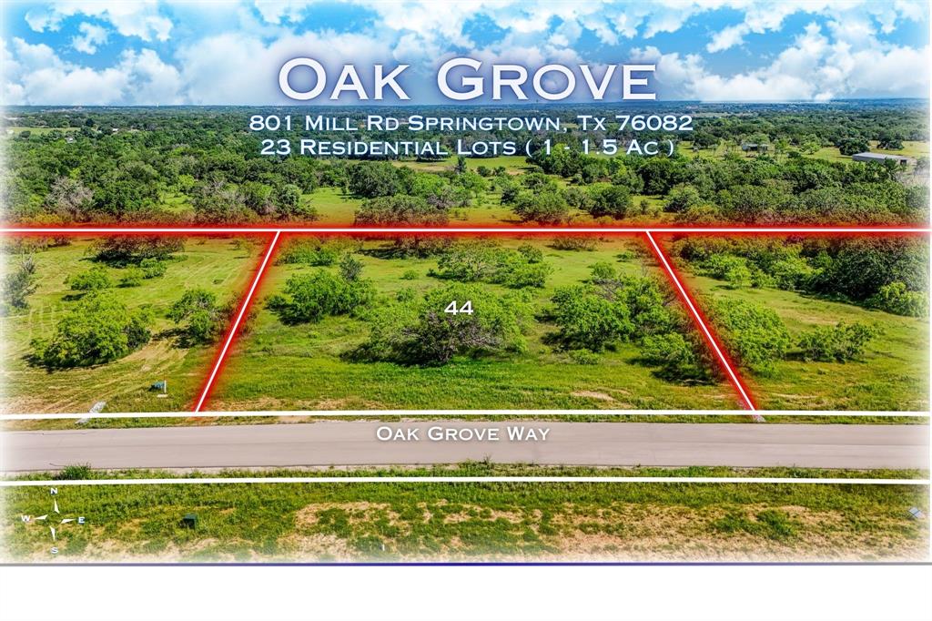 184 Oak Grv Way Springtown, TX 76082 - Photo 4 of 9
