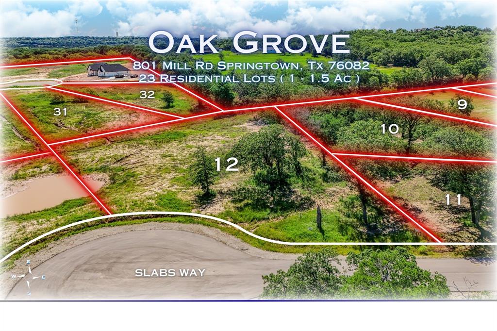184 Oak Grv Way Springtown, TX 76082 - Photo 8 of 9