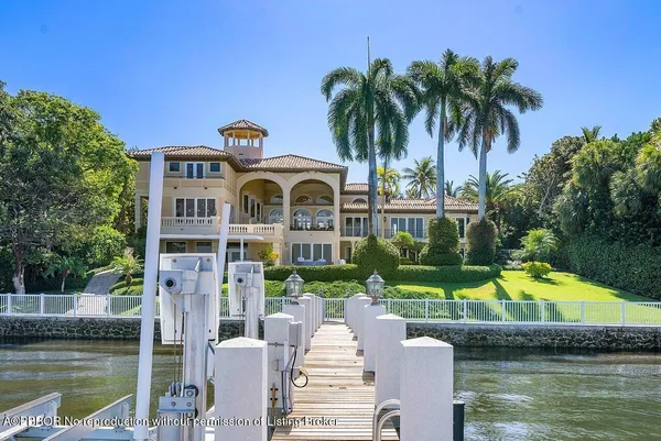 a view of a yard and palm trees