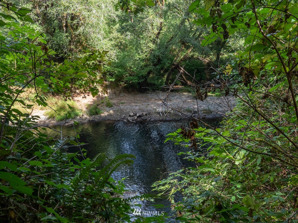 a view of a garden with a tree
