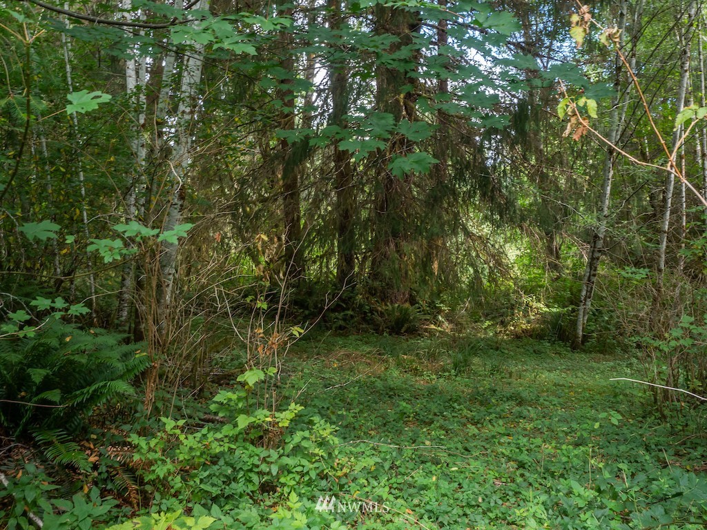 0 North River Road Cosmopolis, WA 98537 - Photo 2 of 18 a view of outdoor space and trees