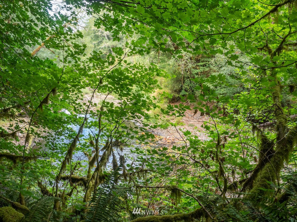 0 North River Road Cosmopolis, WA 98537 - Photo 12 of 18 a view of a lush green forest