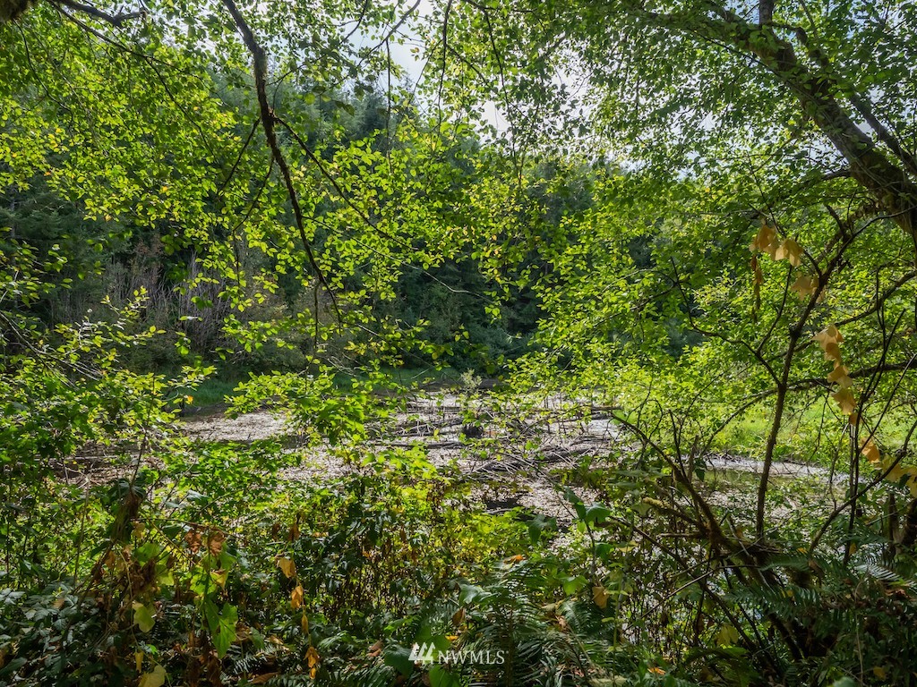 0 North River Road Cosmopolis, WA 98537 - Photo 15 of 18 a view of a lush green forest
