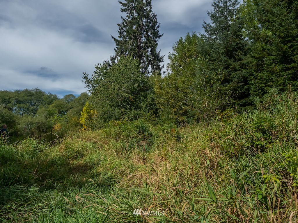 0 North River Road Cosmopolis, WA 98537 - Photo 16 of 18 a view of a lush green forest with lots of trees