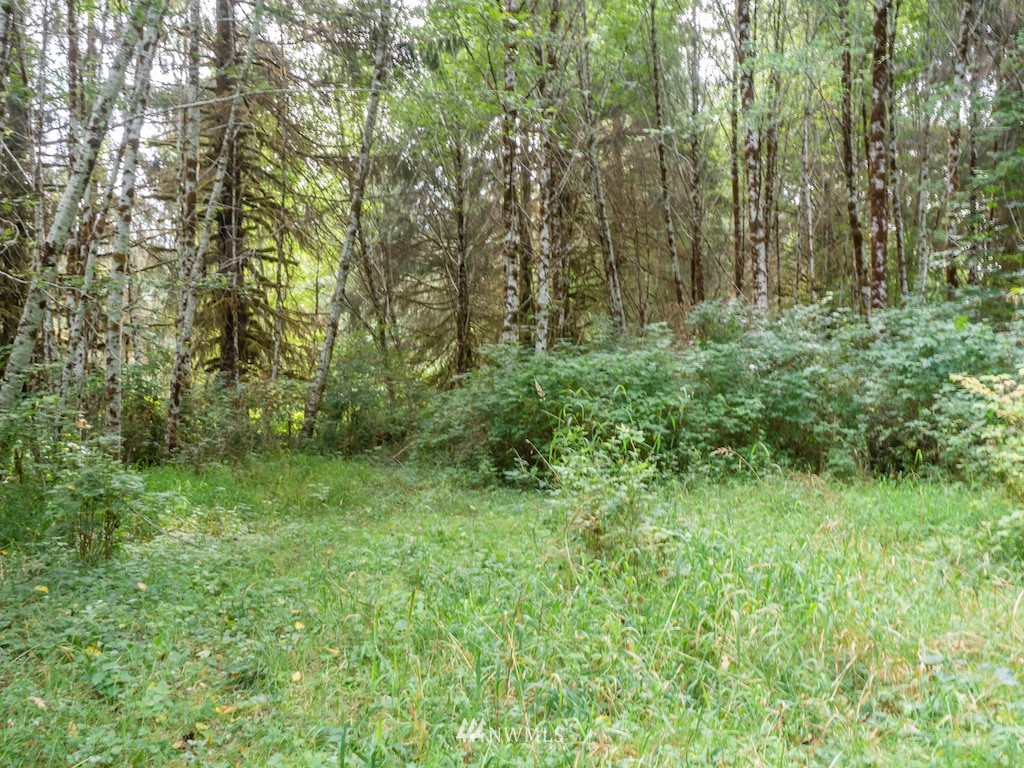 0 North River Road Cosmopolis, WA 98537 - Photo 3 of 18 a view of outdoor space and green space