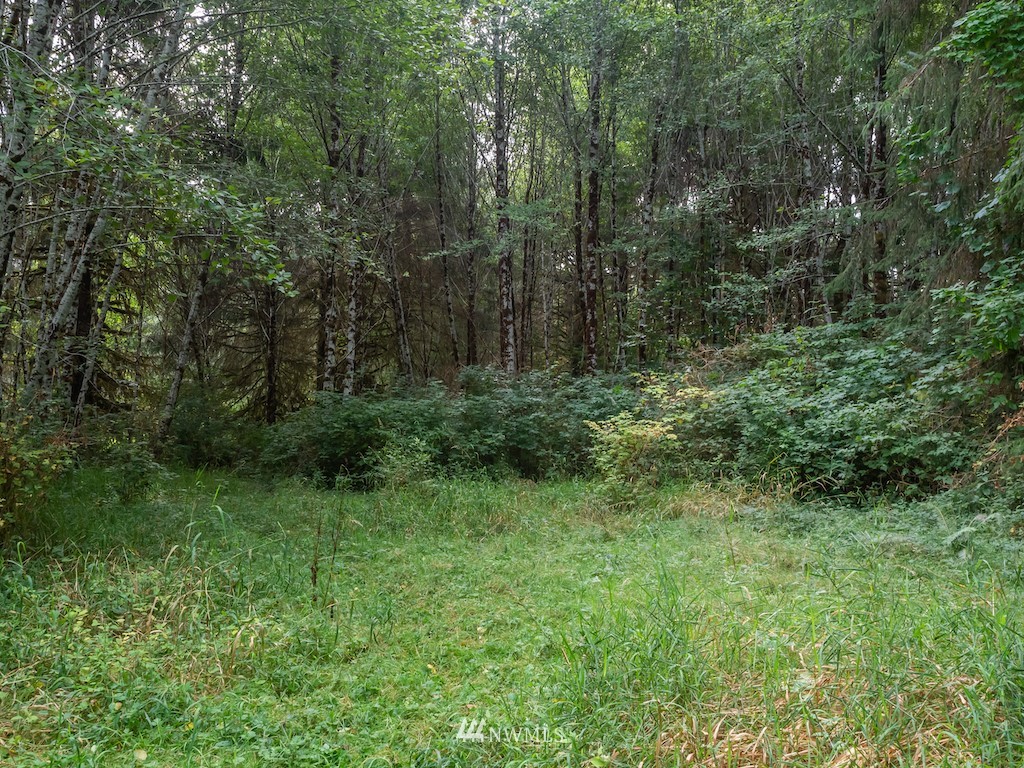 0 North River Road Cosmopolis, WA 98537 - Photo 4 of 18 a view of a green field with lots of bushes