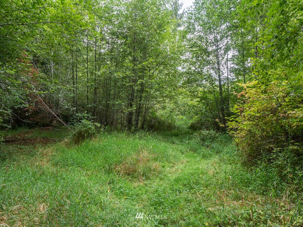 0 North River Road Cosmopolis, WA 98537 - Photo 8 of 18 a view of a lush green forest