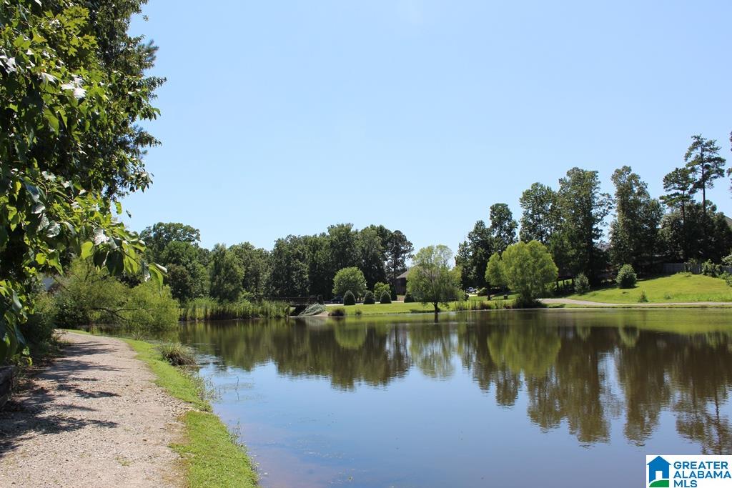 2680 Hawthorne Lake Road Helena, AL 35022 - Photo 46 of 50