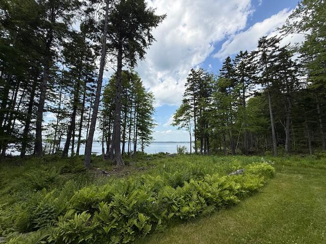 96 Indian Trail Road East Machias, ME 04630 - Photo 117 of 119 IMG_0216
