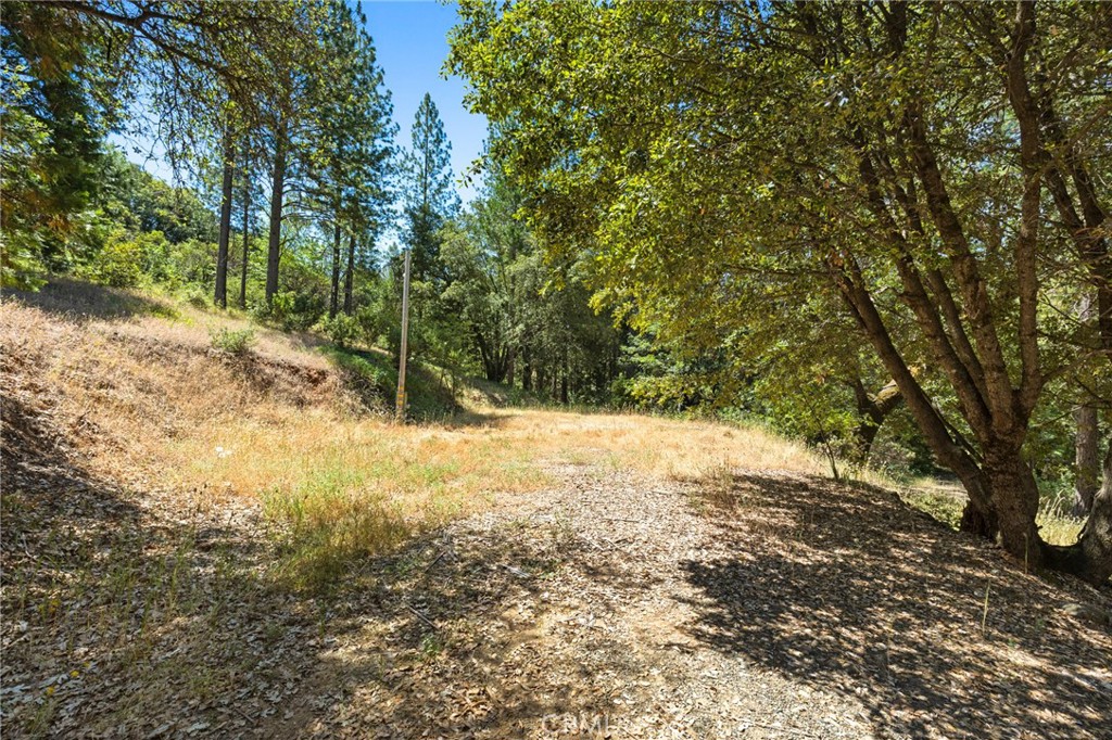 7859 Reed Lane Rackerby, CA 95972 - Photo 19 of 22