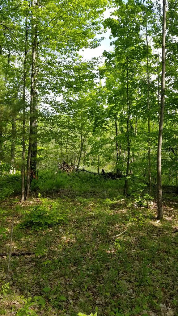 . Skerry Road North Bangor, NY 12966 - Photo 23 of 28 Gallery Image 23