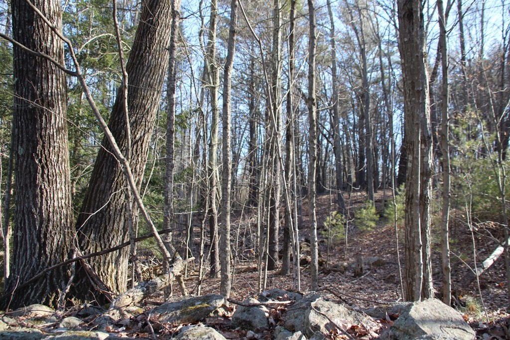 2 Northwest Road Spencer, MA 01562 - Photo 4 of 12