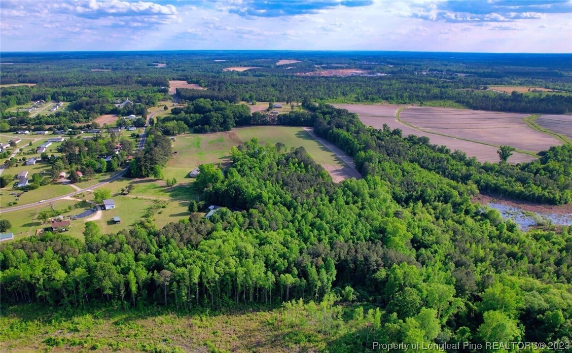 700 Stockyard Road Lillington, NC 27546 - Photo 4 of 8 Gallery Image 4