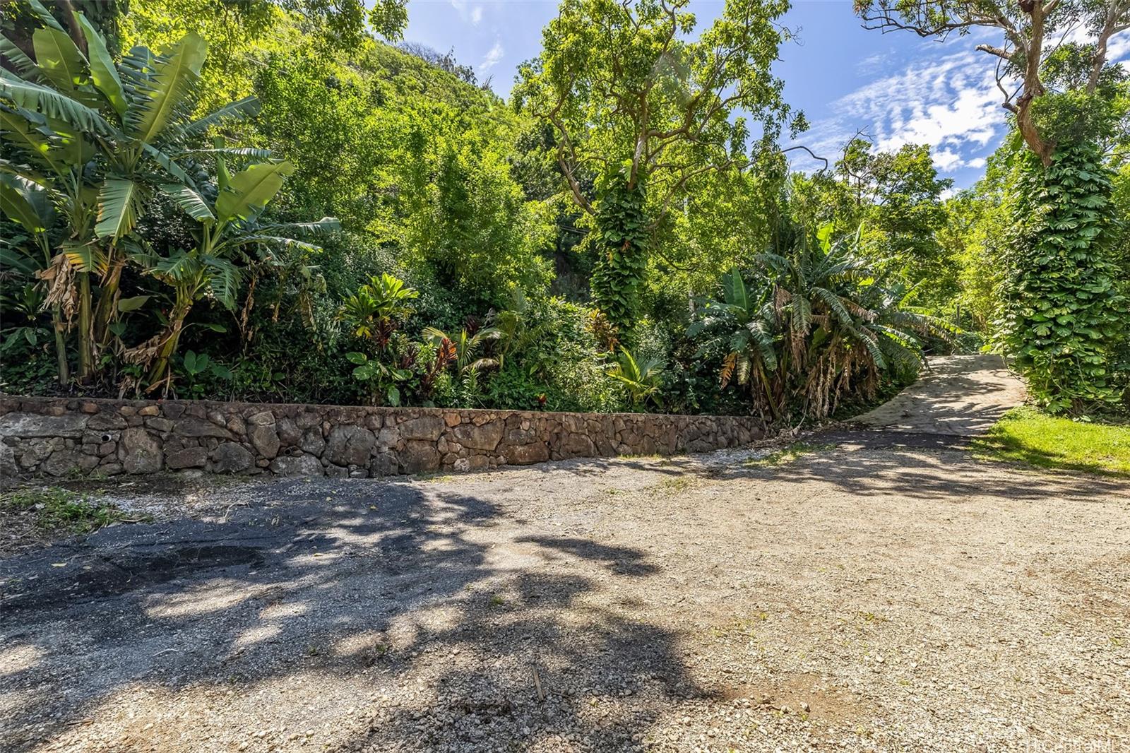 2640 Lai Road, Unit E Honolulu, HI 96816 - Photo 7 of 25 a view of a yard with plants and trees