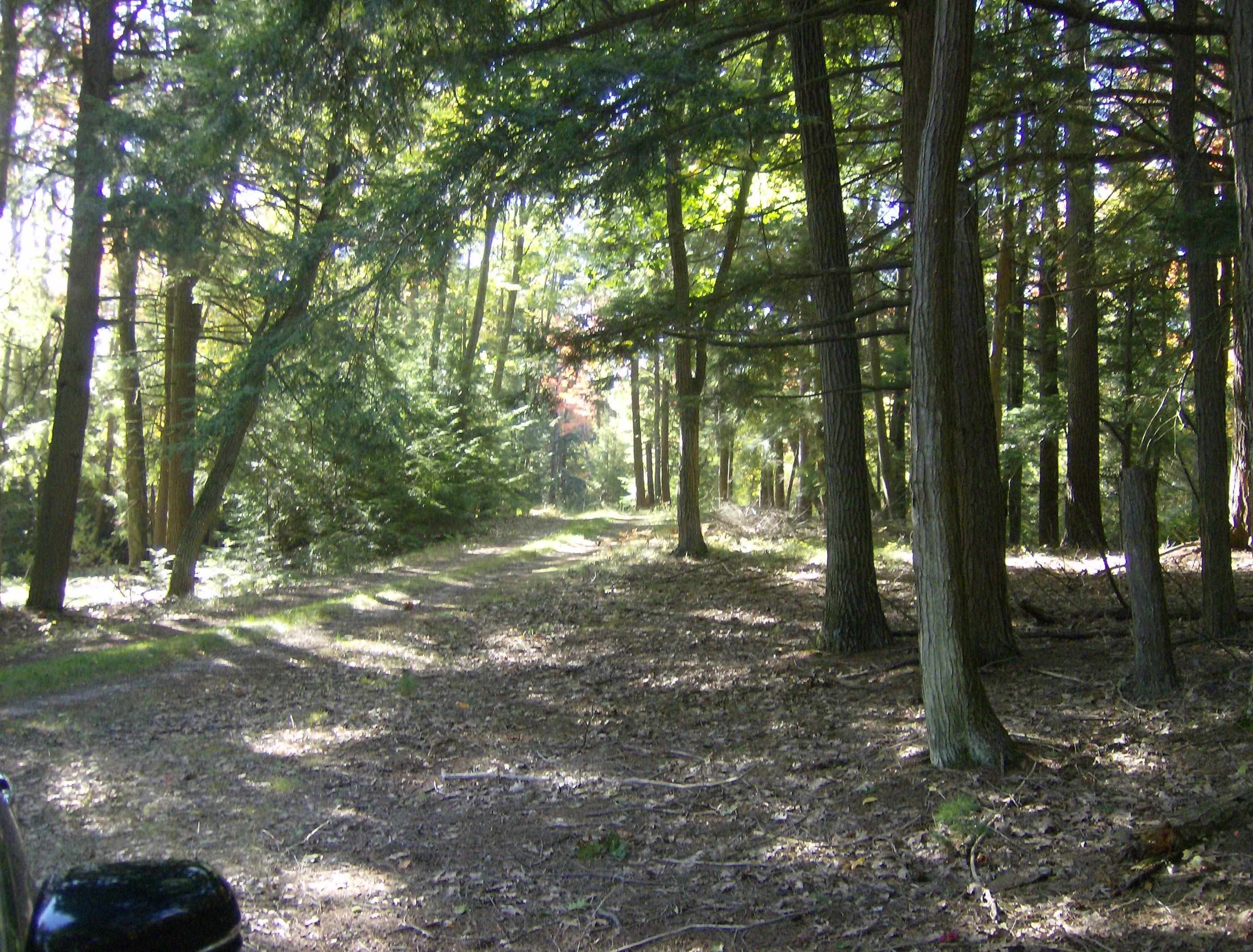 0 West Ausable Point Road, Unit LOT: 5 Oscoda, MI 48750 - Photo 15 of 18