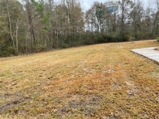 48159 Stafford Road Tickfaw, LA 70466 - Photo 12 of 13 Gallery Image 12