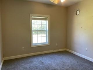 48159 Stafford Road Tickfaw, LA 70466 - Photo 7 of 13 Gallery Image 7