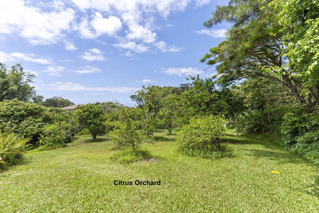 88 Kamalii Place Haiku, HI 96708 - Photo 23 of 24 a view of a garden