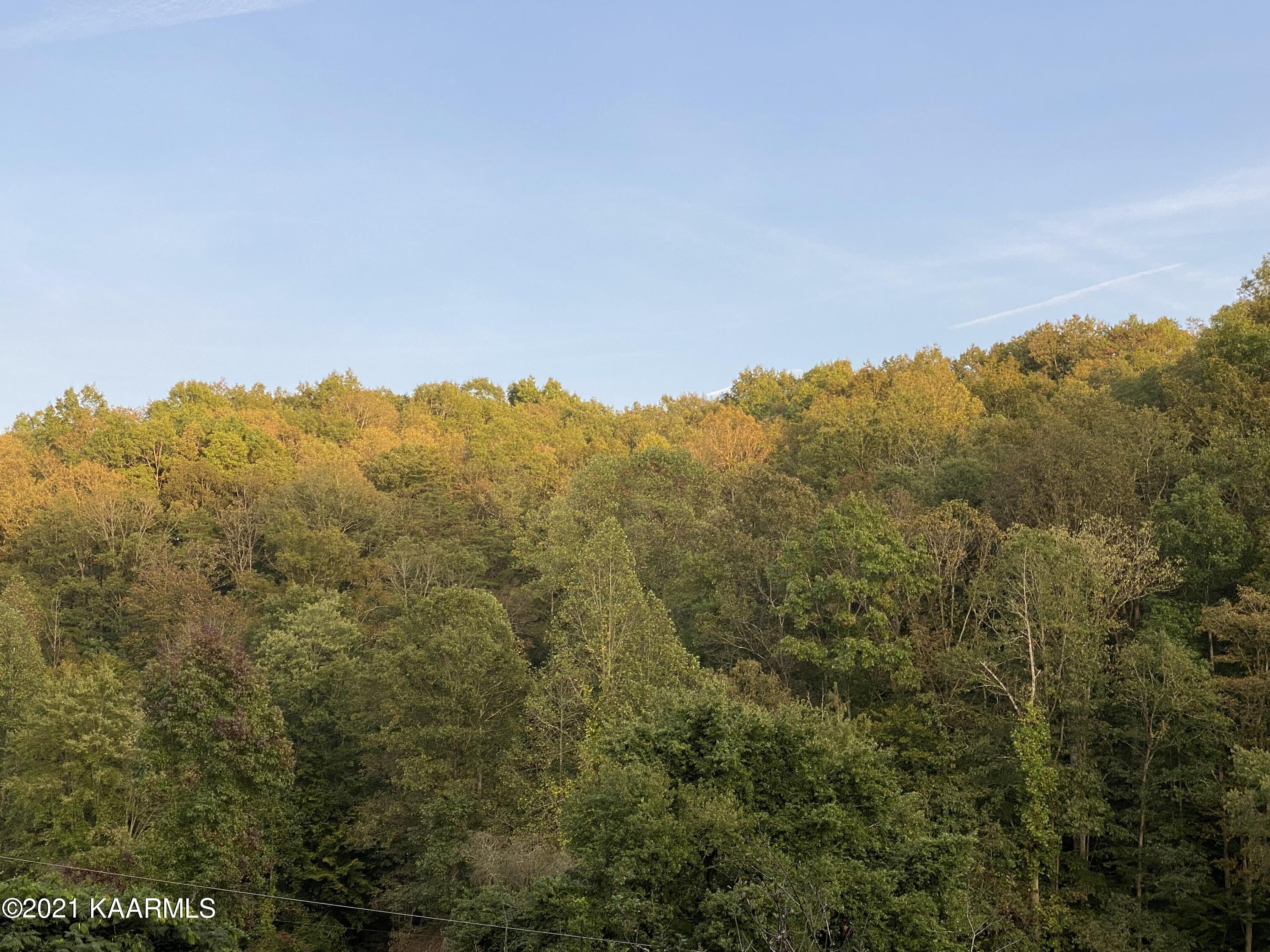 153 Lone Mountain Road Andersonville, TN 37705 - Photo 21 of 38 IMG_3066