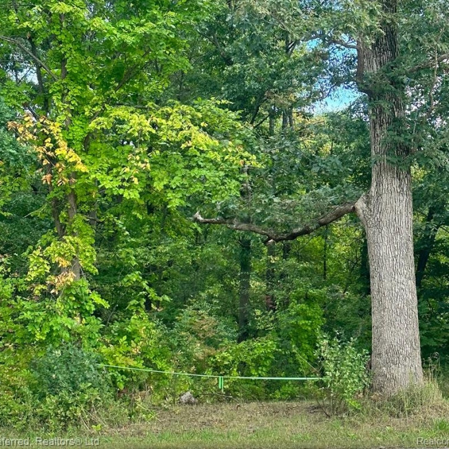 0 North Milford Road Highland, MI 48357 - Photo 2 of 2