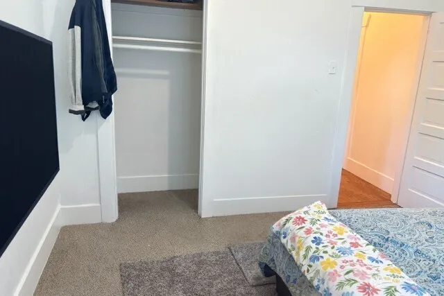 a bedroom with a bed and a rug