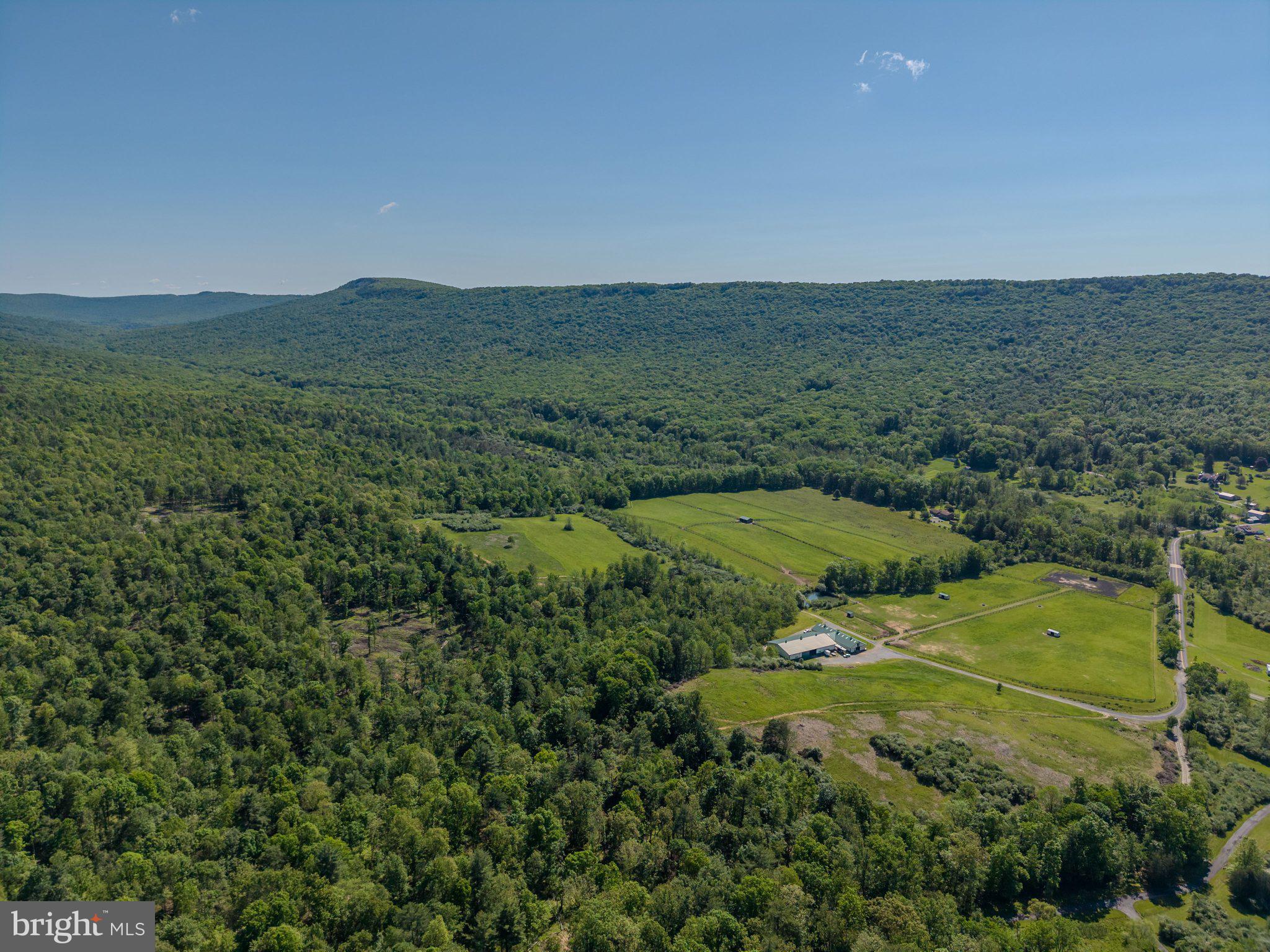 4503 Scotch Valley Road Hollidaysburg, PA 16648 - Photo 31 of 85 an aerial view of a houses with outdoor space and trees all around