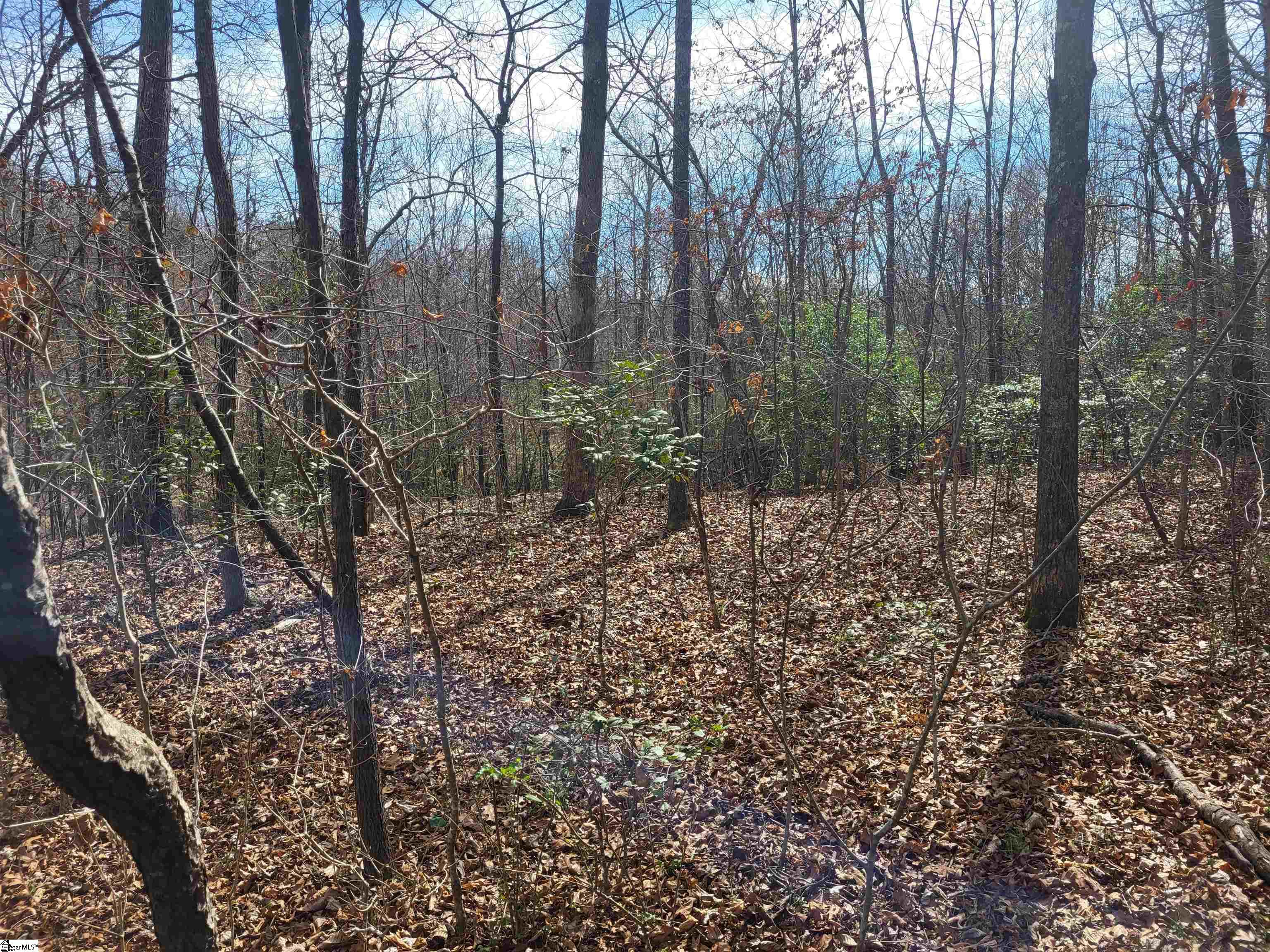 110 A Willingham Road Belton, SC 29627 - Photo 12 of 21