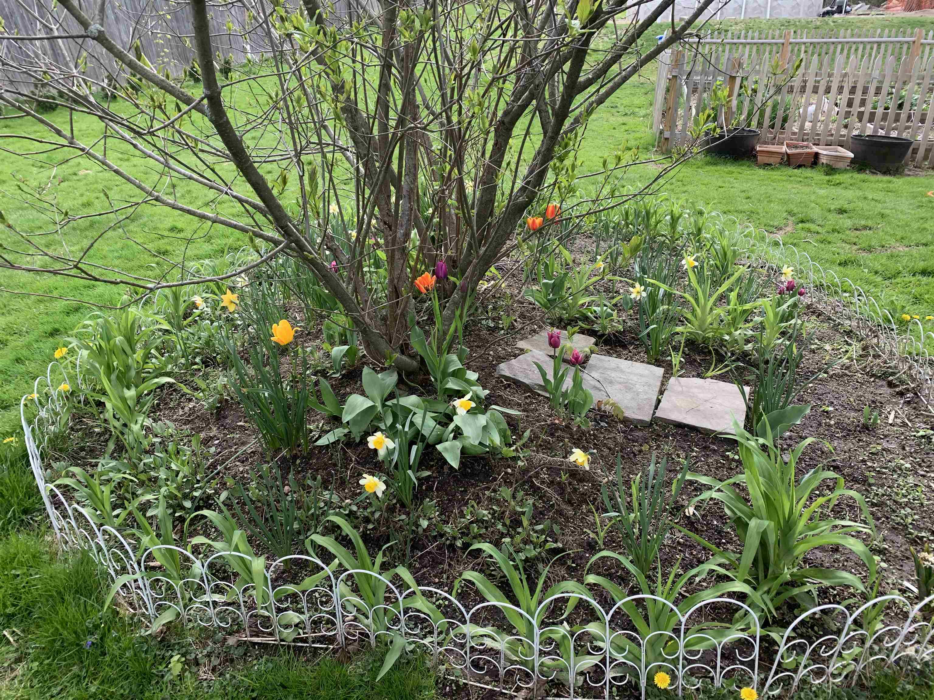 111 Main Street New Ipswich, NH 03071 - Photo 11 of 48