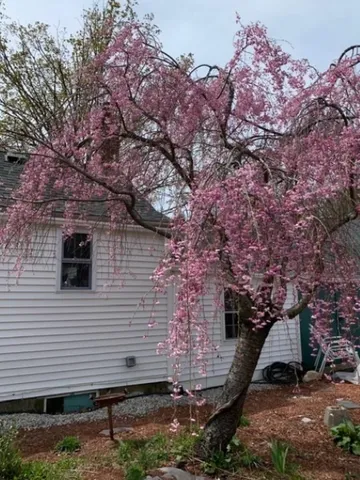 $459,900 | 111 Main Street, New Ipswich, NH 03071