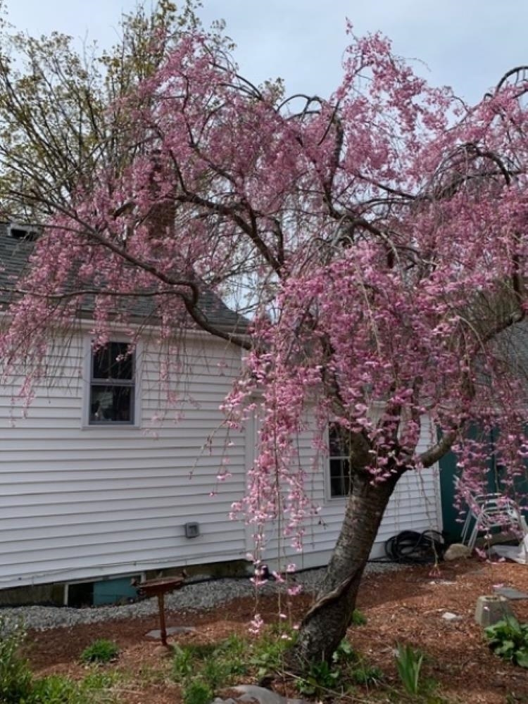 111 Main Street New Ipswich, NH 03071 - Photo 8 of 48