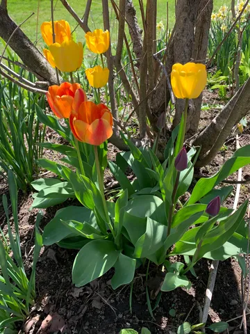 $459,900 | 111 Main Street, New Ipswich, NH 03071