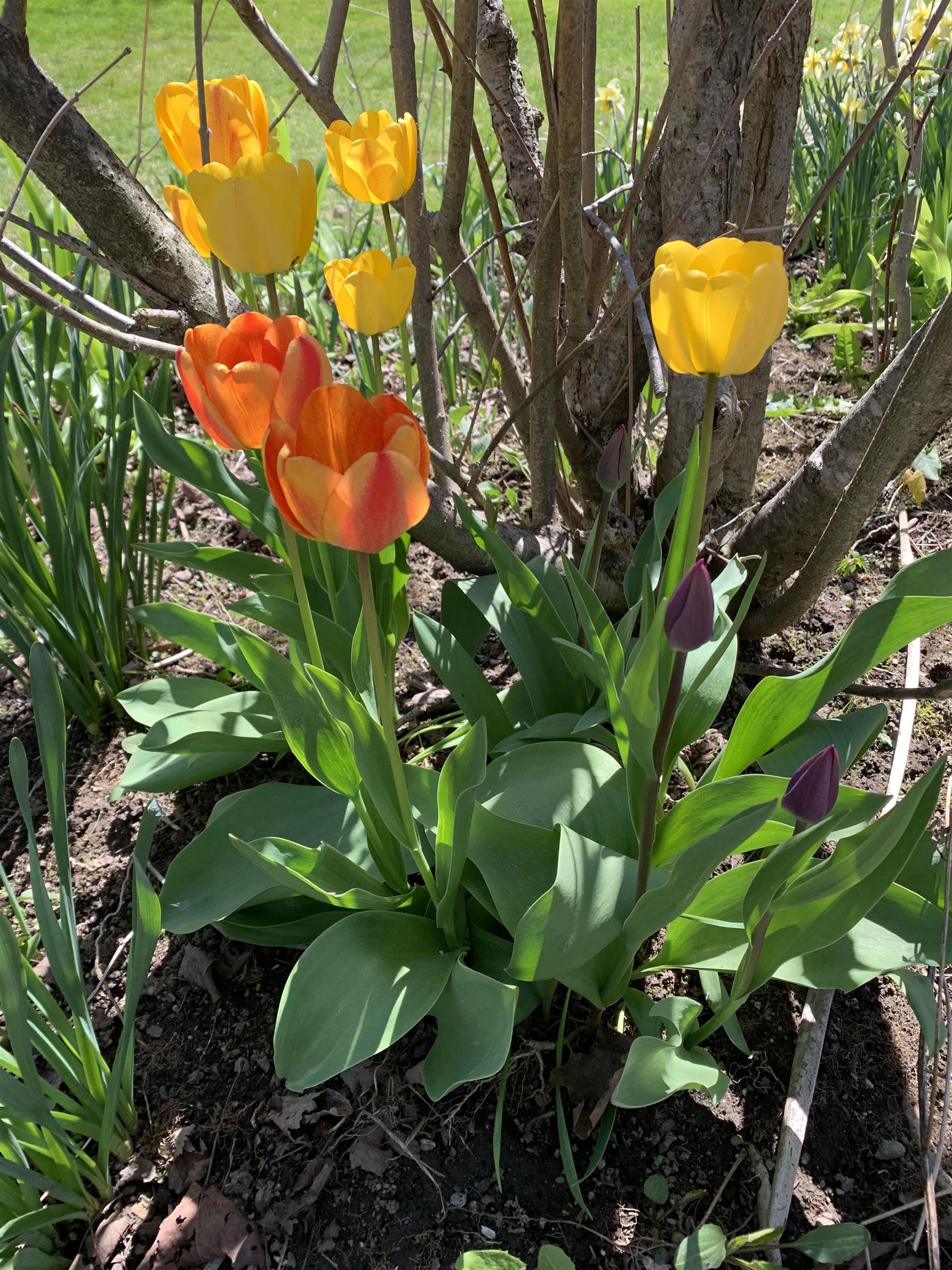 111 Main Street New Ipswich, NH 03071 - Photo 10 of 48