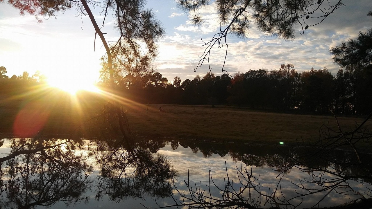 1911 Ellis Road Hogansville, GA 30230 - Photo 30 of 49 a view of a backyard of a house