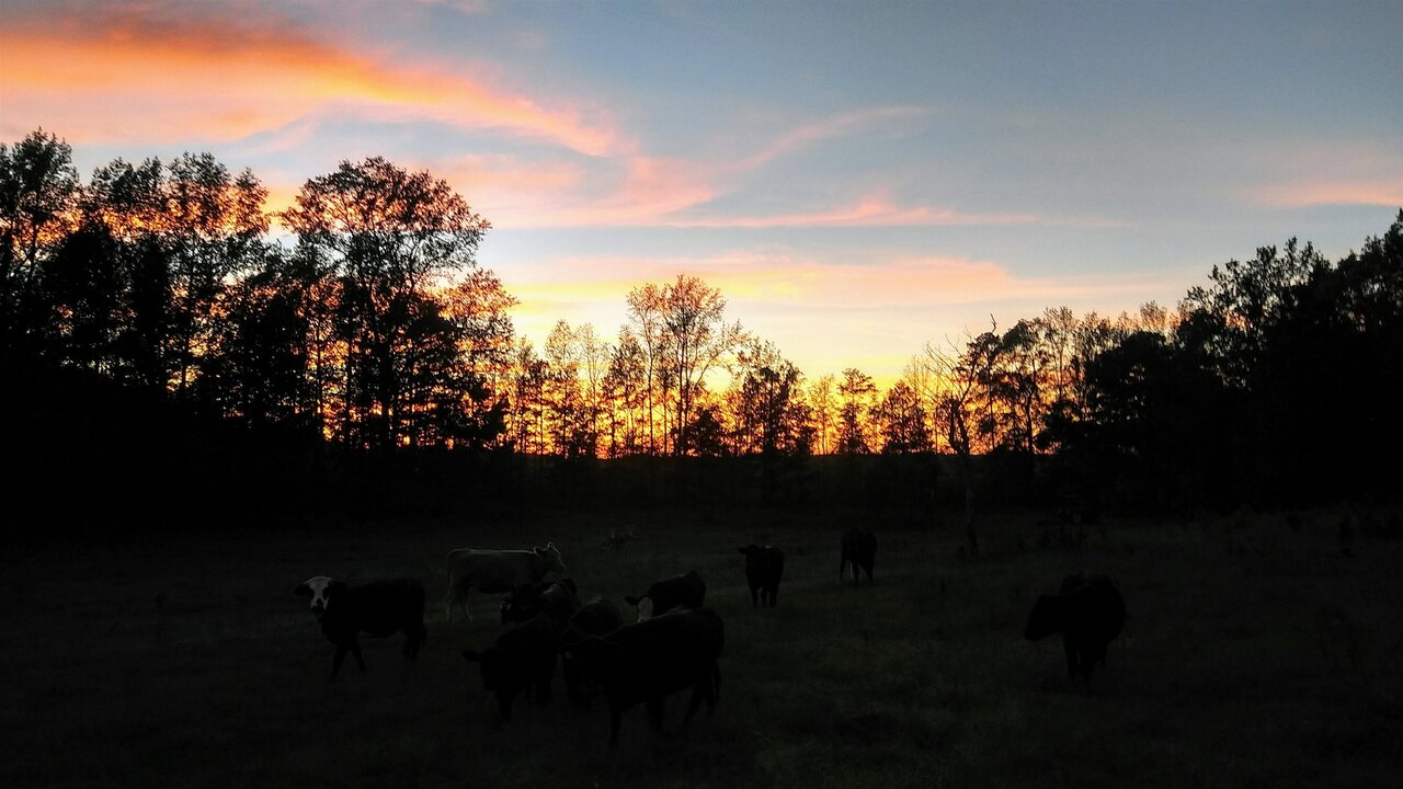 1911 Ellis Road Hogansville, GA 30230 - Photo 31 of 49