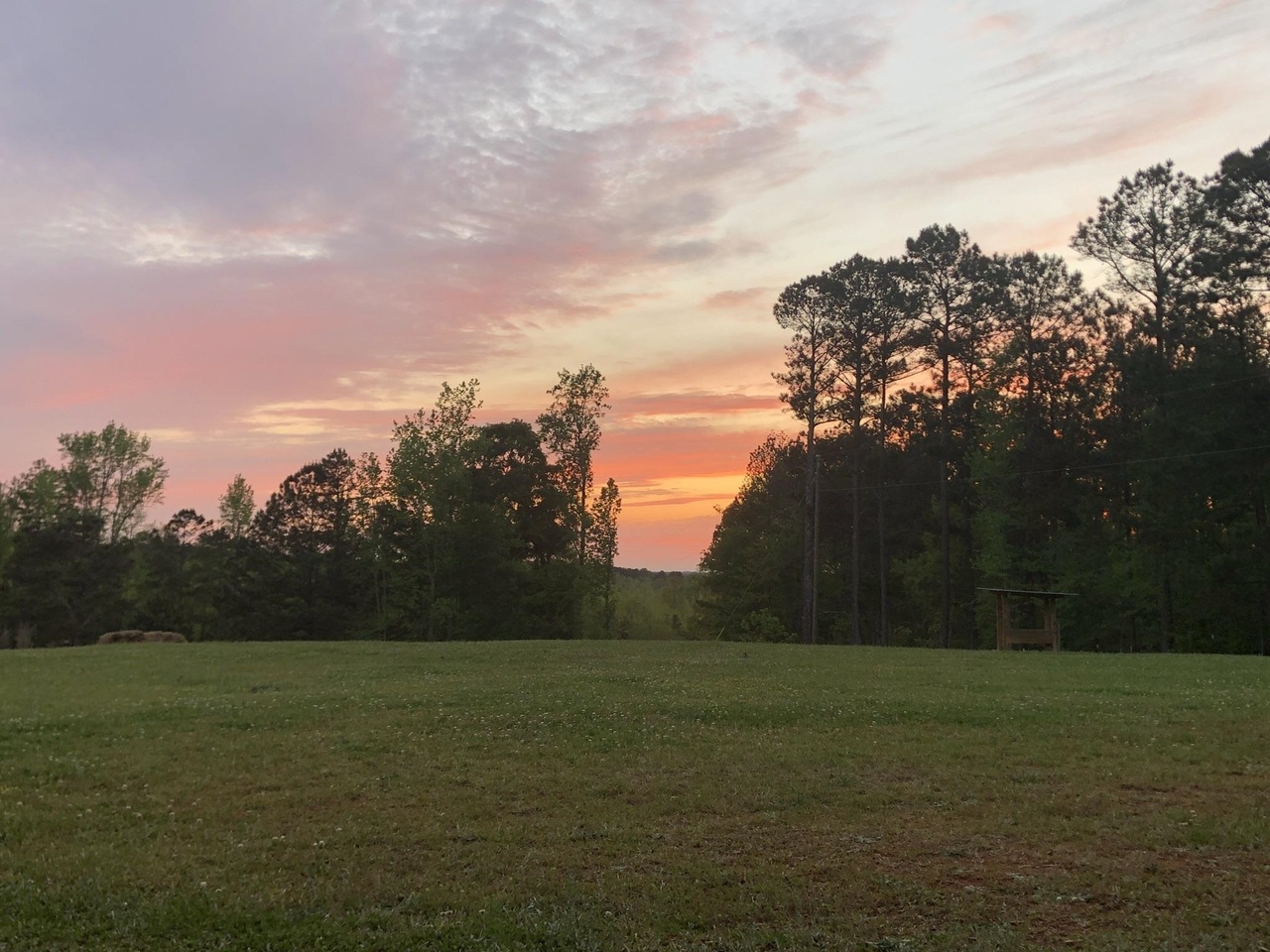 1911 Ellis Road Hogansville, GA 30230 - Photo 32 of 49 a view of a field with an trees