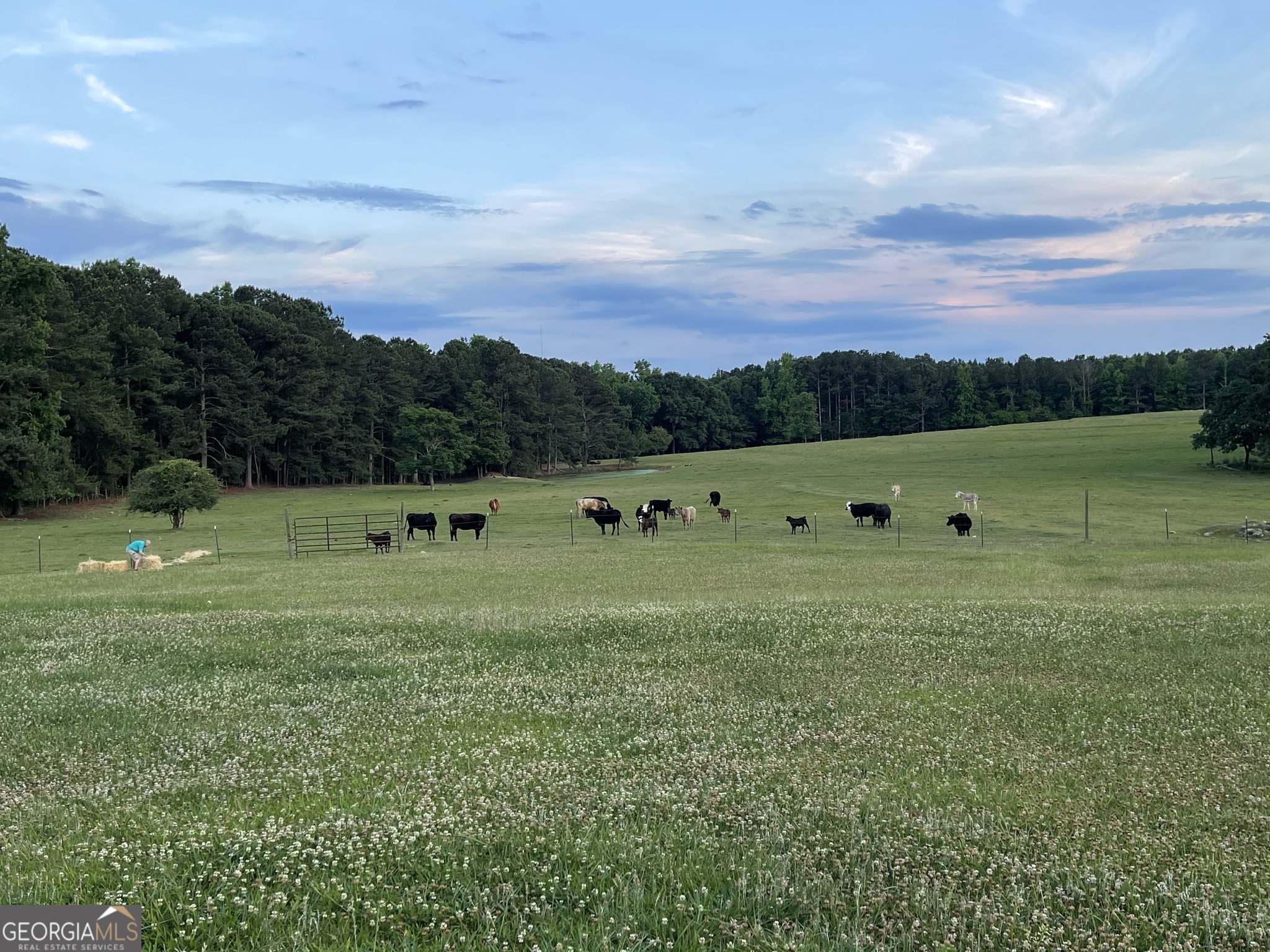 1911 Ellis Road Hogansville, GA 30230 - Photo 34 of 49 a view of a field with an trees