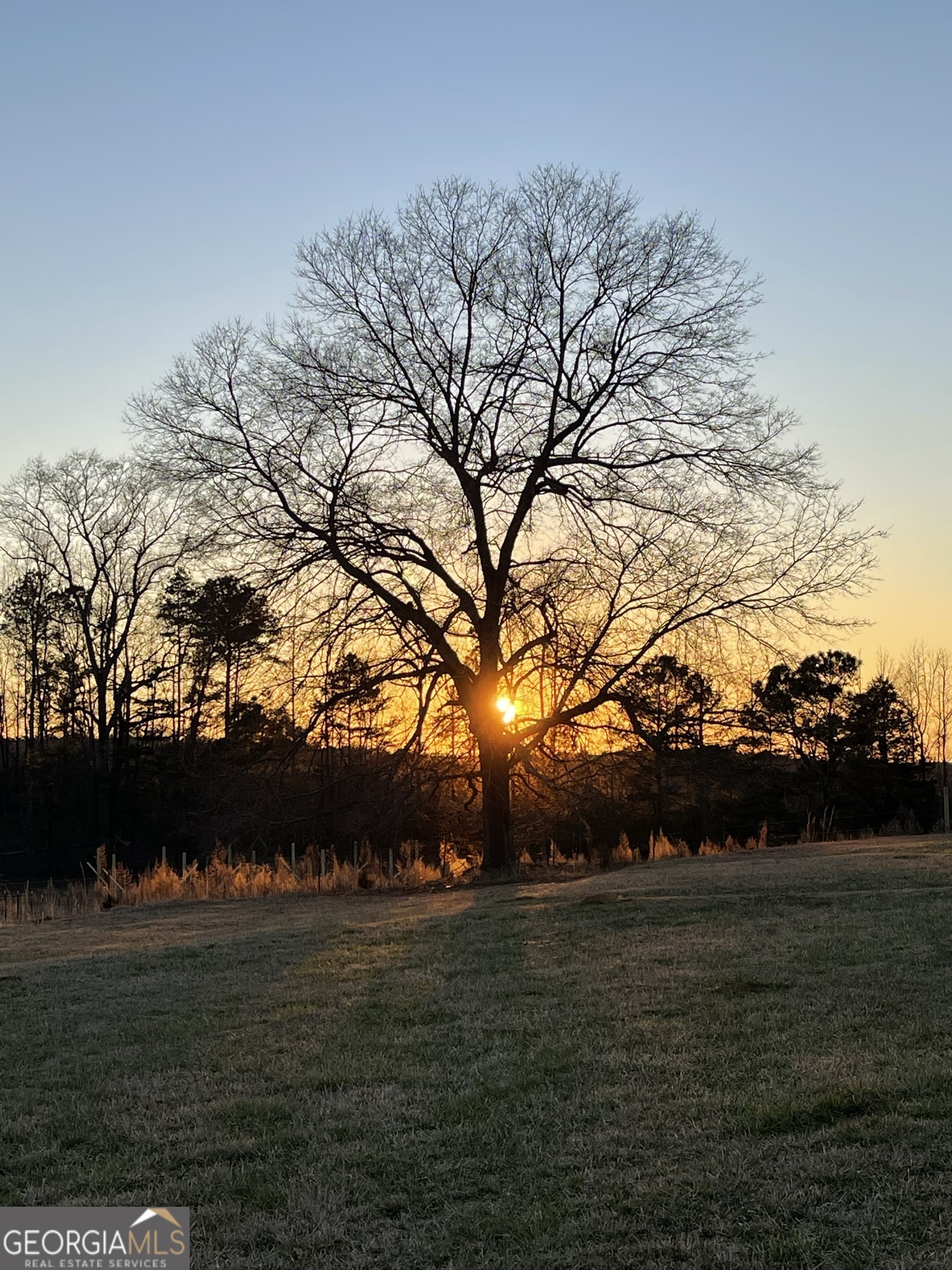 1911 Ellis Road Hogansville, GA 30230 - Photo 42 of 49 a view of outdoor space and yard