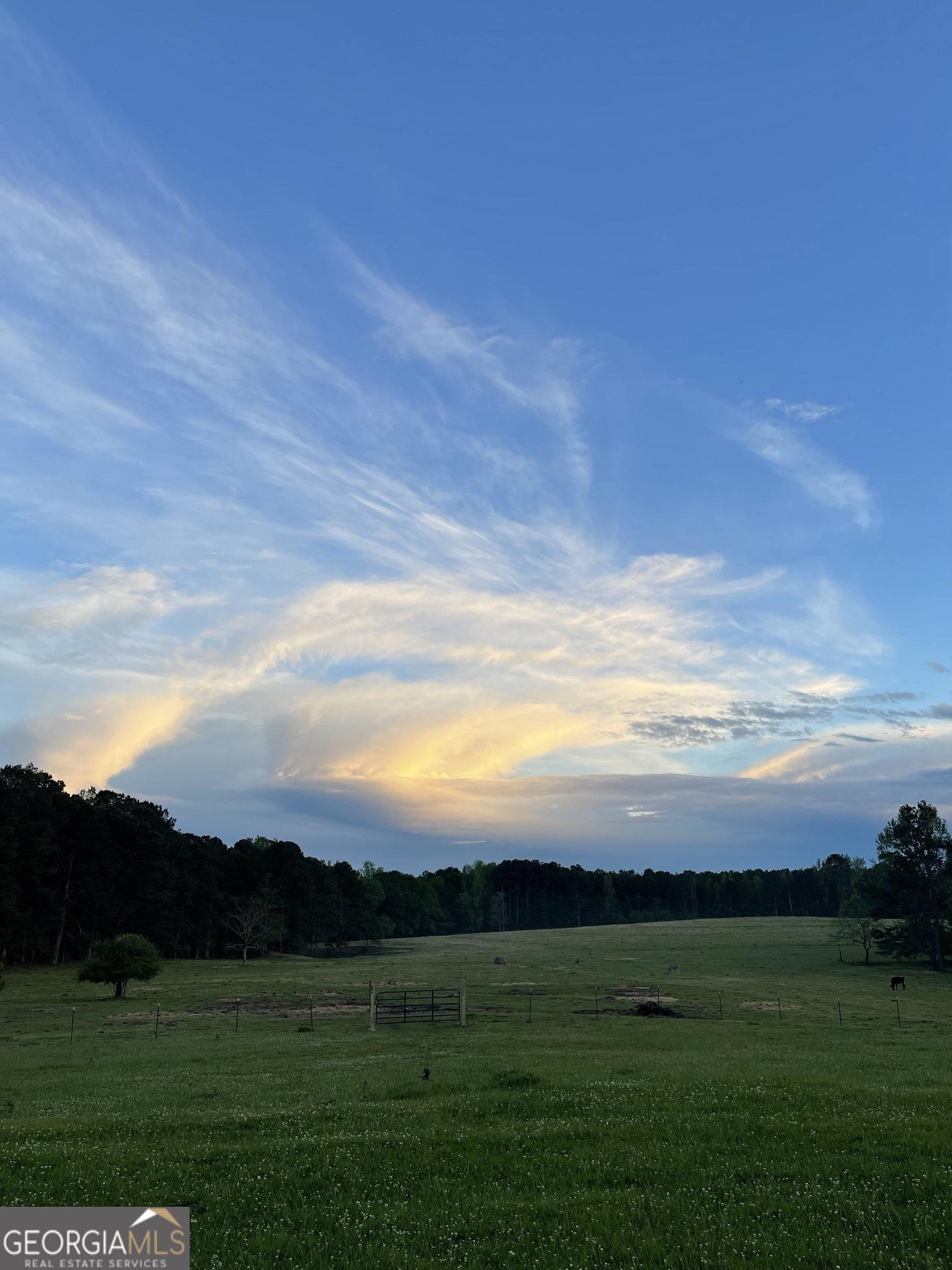 1911 Ellis Road Hogansville, GA 30230 - Photo 44 of 49 a view of grassy field with mountain