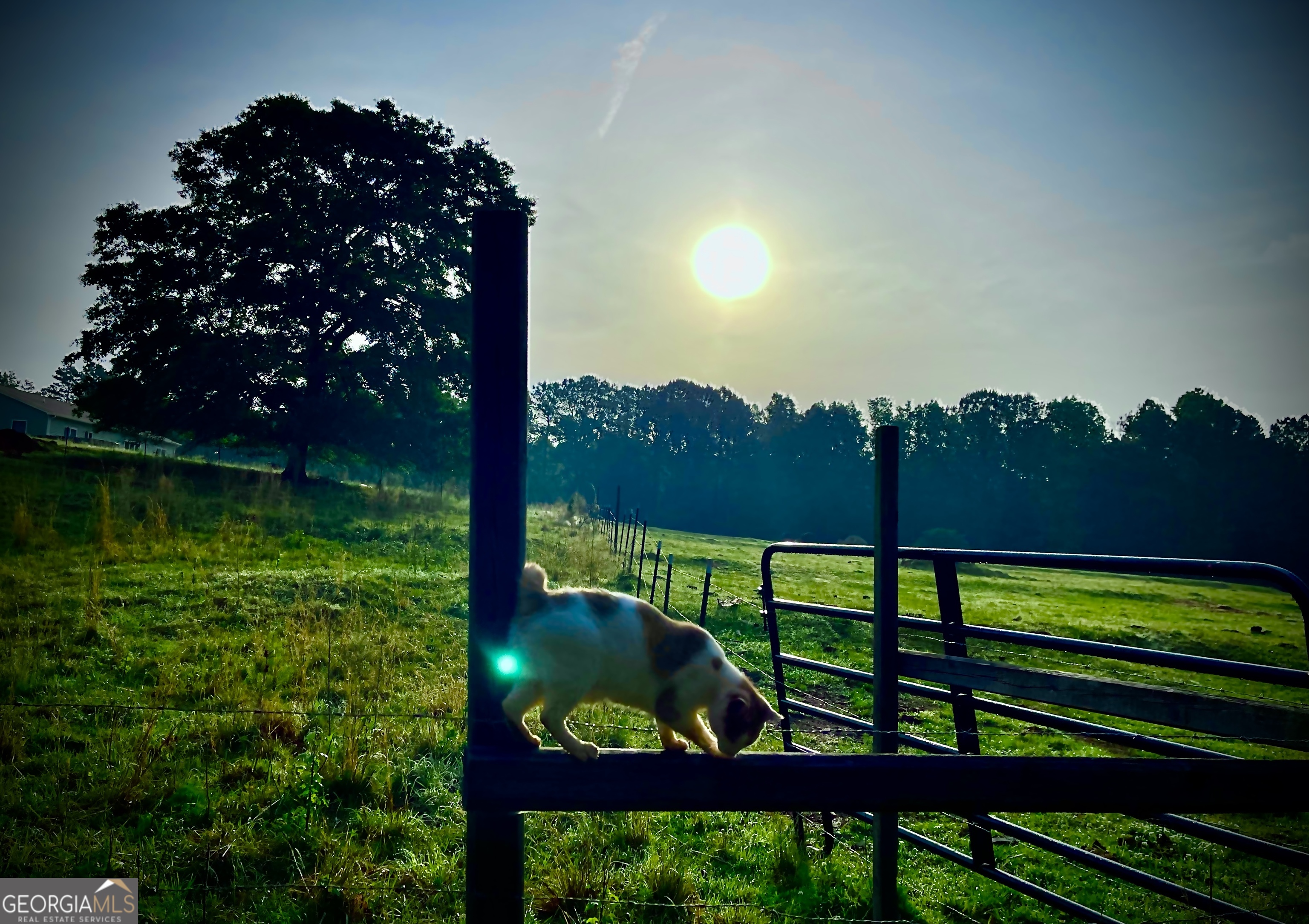 1911 Ellis Road Hogansville, GA 30230 - Photo 45 of 49 a view of a bench in the garden